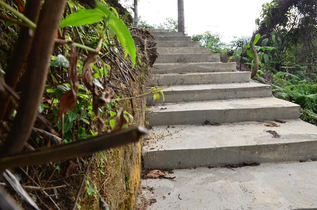The Woodz Homestay Tanah Rata Exterior photo